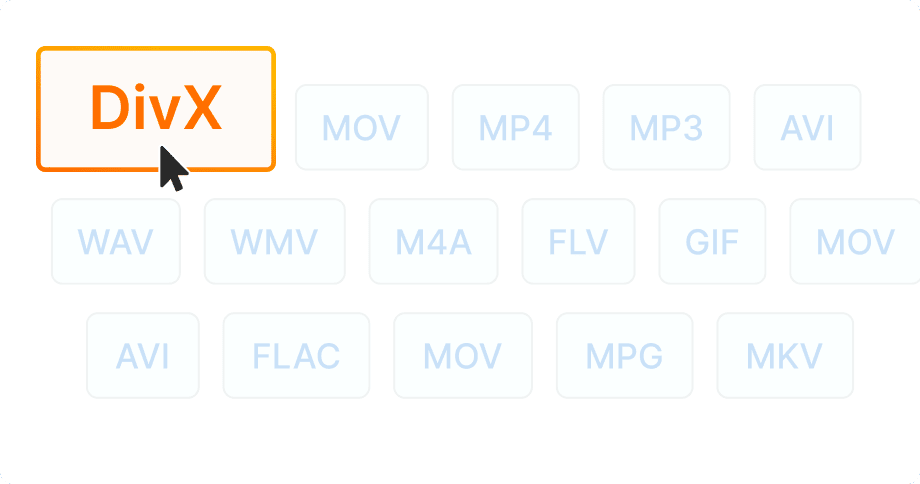 Compatibilità con dispositivi DivX
