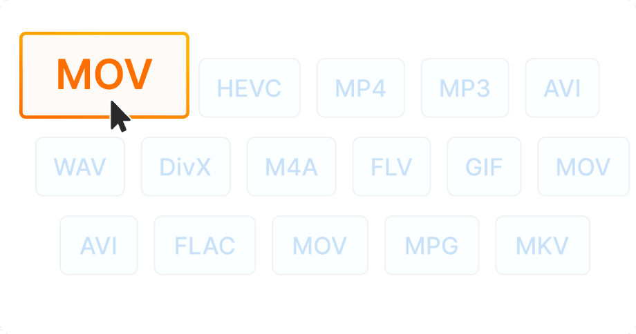 Compatibilità nativa QuickTime