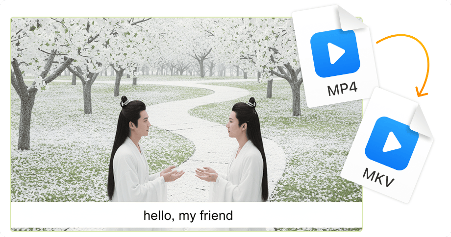 Più tracce audio e sottotitoli