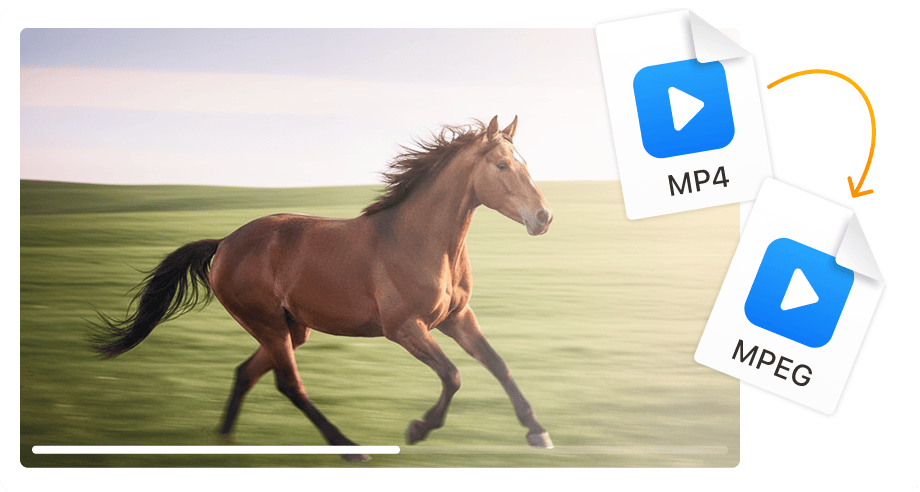 Perfetto per authoring DVD