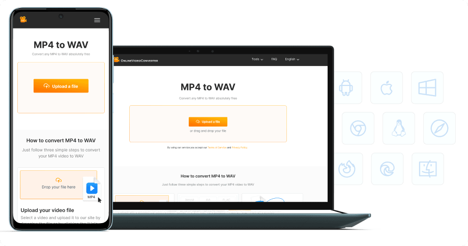 Senza installazione software